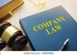 A Look at Different Company Laws