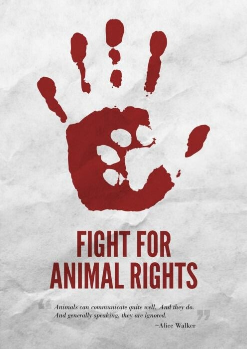Animal Cruelty And Laws for Protection of Animal Rights