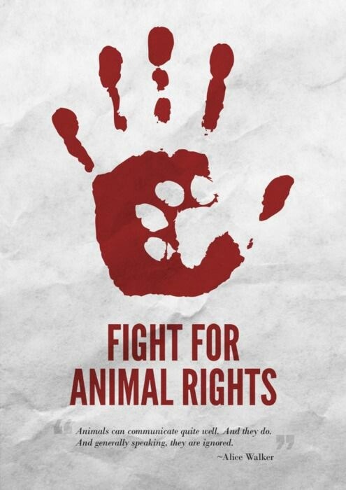 animal-cruelty-and-laws-for-protection-of-animal-rights