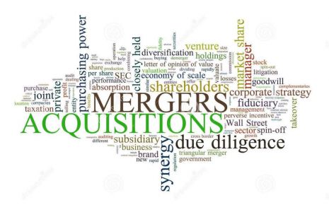 Why Do Newly Listed Firms Become Potential Targets for Acquisition?