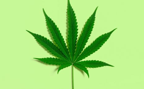 Legalisation of Marijuana: An Insight into the NDPS Act