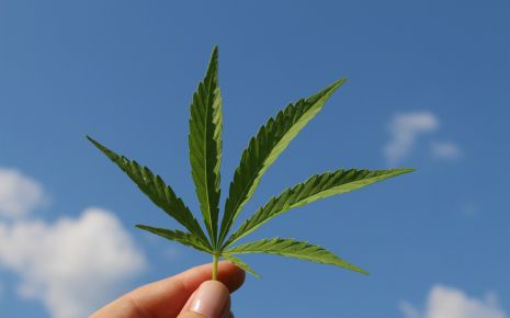 Legalization of Marijuana in India: Pros, Cons and Other Alternatives