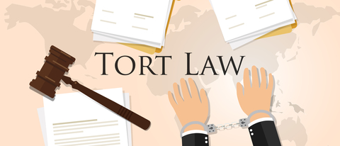 Tort Liability of the State: Understanding Vicarious Responsibility