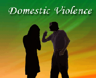 define domestic violence act 2005