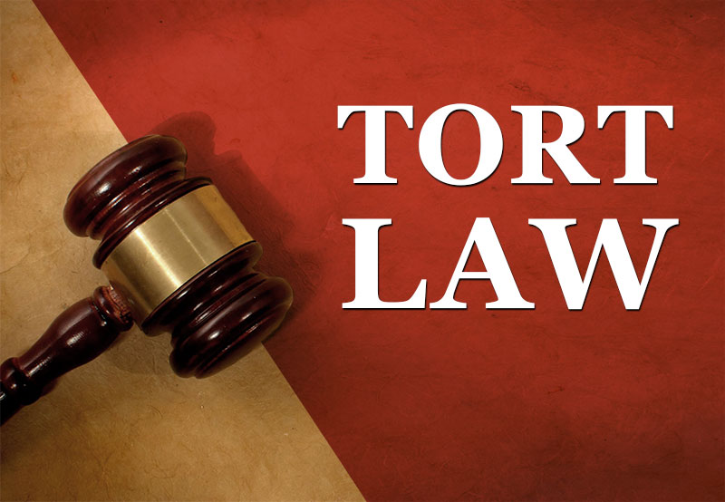 Tort law презентация