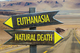 Right To Die With Dignity: Euthanasia