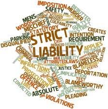 Strict Liability in Tort Law: Origins, Exceptions and Modern Applications