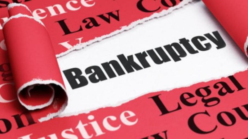 Insolvency And Bankruptcy (Amendment) Ordinance, 2019: A Critique