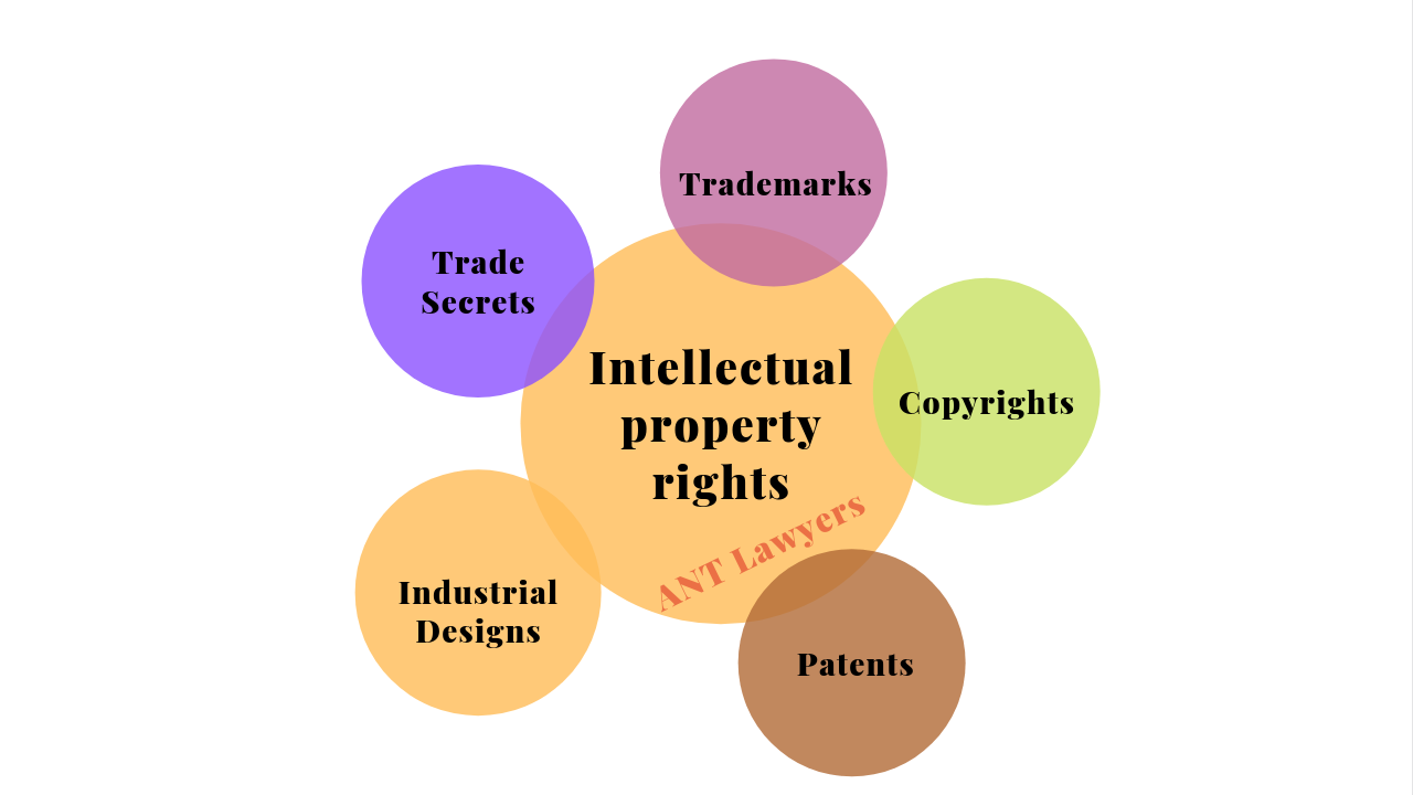 What Is Intellectual Property In India