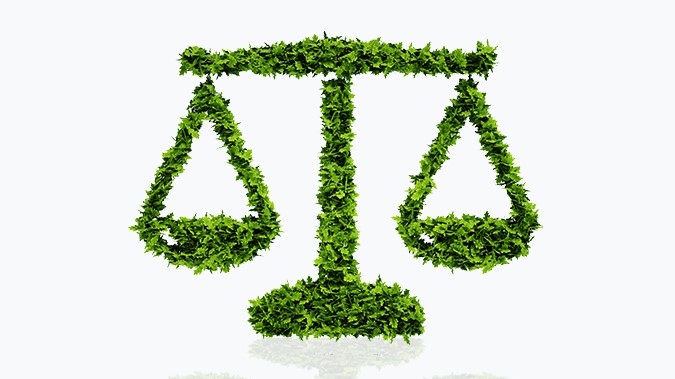 phd in environmental law in india