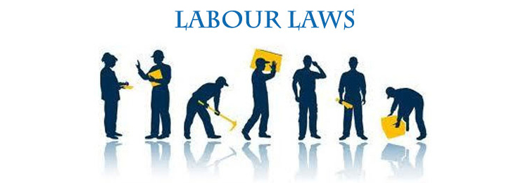 Definition Of Employee Under Labour Law India