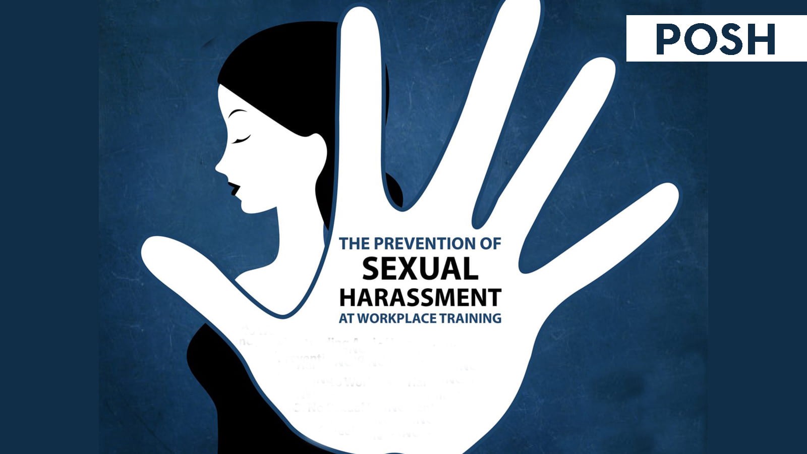 The Sexual Harassment Of Women At Workplace Prevention Prohibition And Redressal Act 2013 
