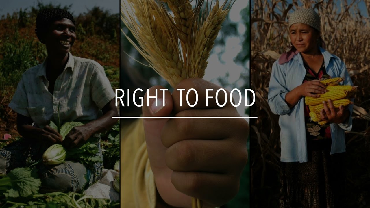 Right to Food - International Perspective