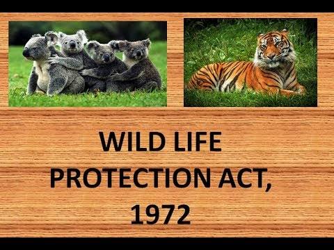 Wildlife Protection Act 1972